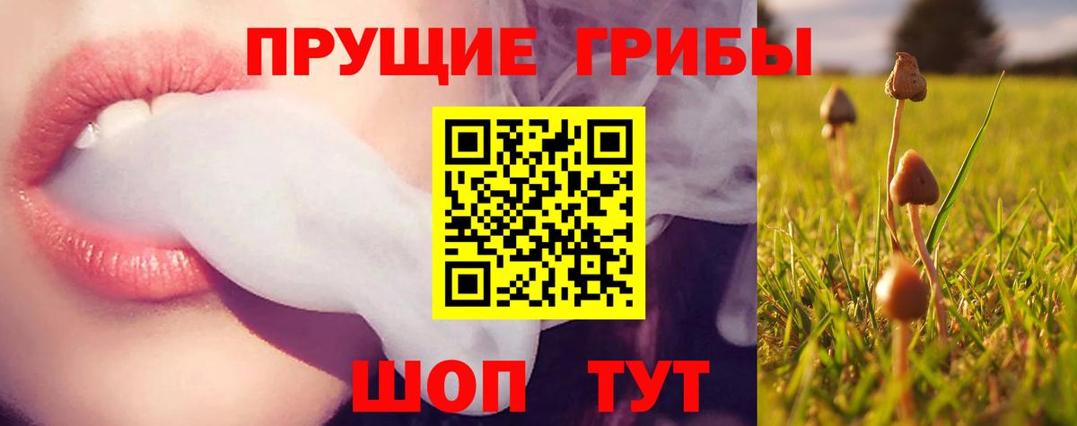 Псилоцибиновые грибы мухоморы Ликино-Дулёво